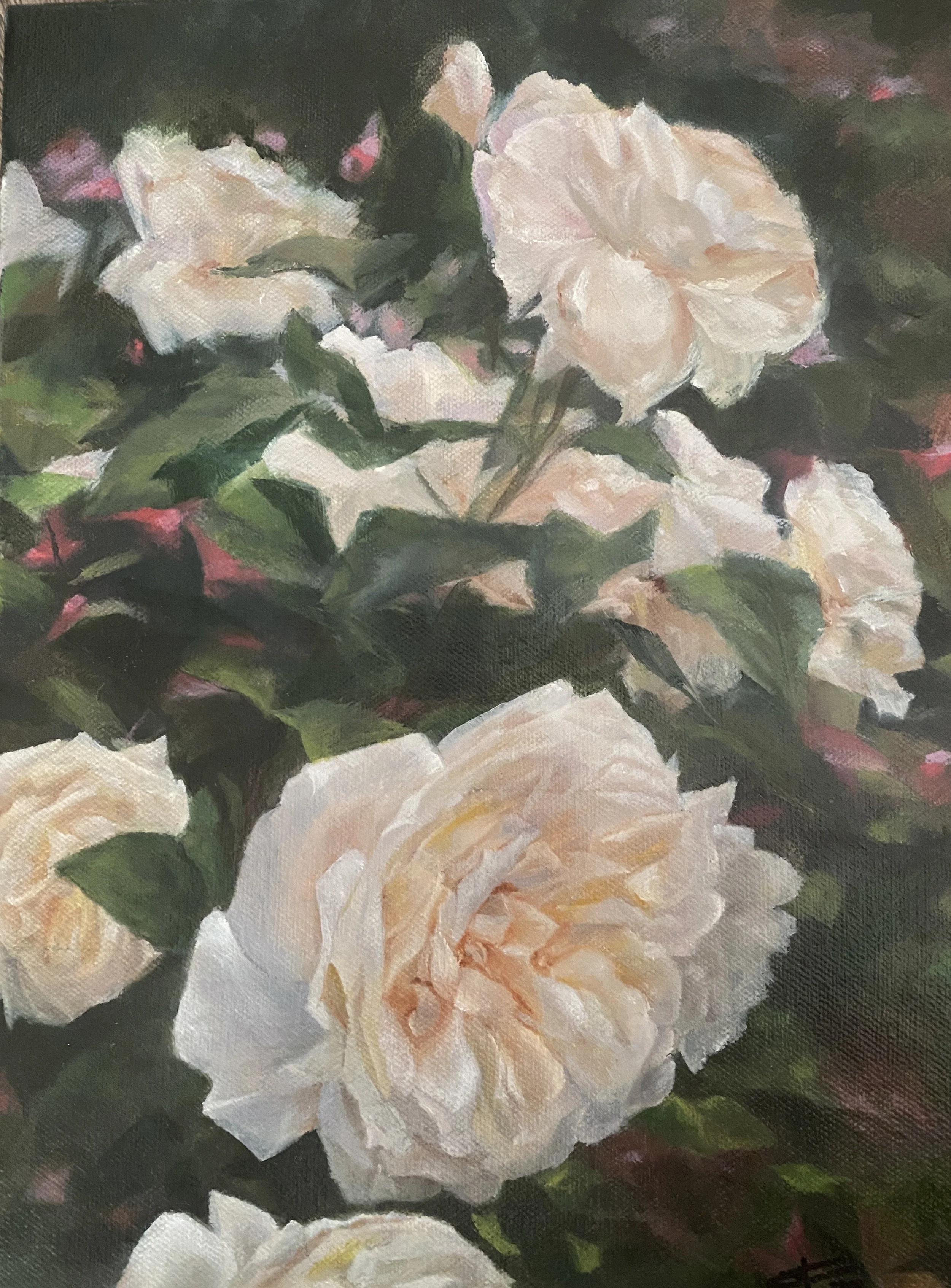 Rose Study I. Oil on Canvas. 30 x 23 cm - Sold - — Valeria